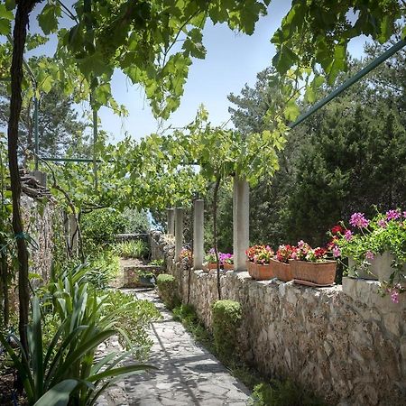 Studio Zavala 2061A Εξωτερικό φωτογραφία