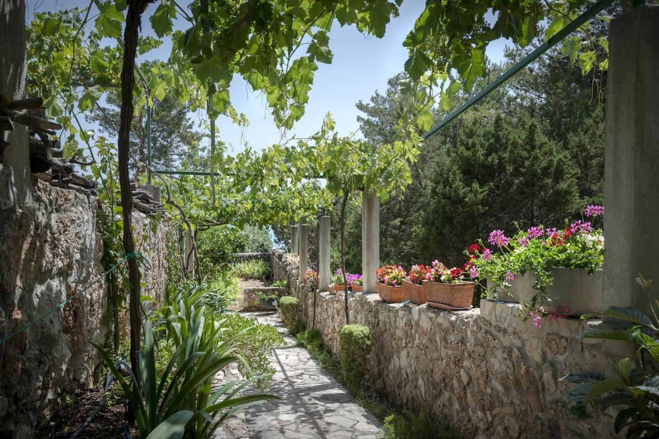 Studio Zavala 2061A Εξωτερικό φωτογραφία
